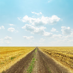 Image showing road in golden field and clouds over it