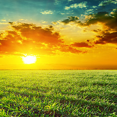 Image showing orange sunset over green grass field