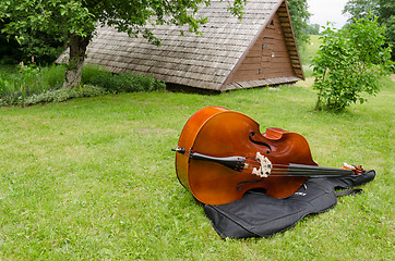 Image showing contrabass musical instrument on summer grass 