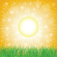 Image showing summer background