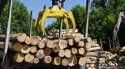 Image showing heavy work equipment loading with clipper cut logs 