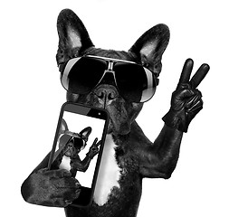 Image showing selfie dog