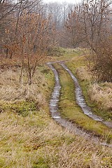 Image showing Dirtroad