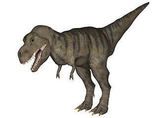 Image showing Tyrannosaurus Rex