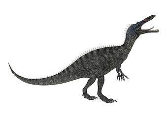 Image showing Dinosaur Suchomimus