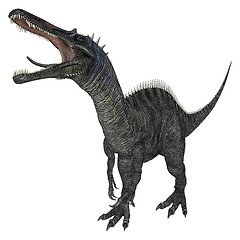 Image showing Dinosaur Suchomimus