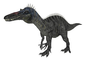 Image showing Dinosaur Suchomimus