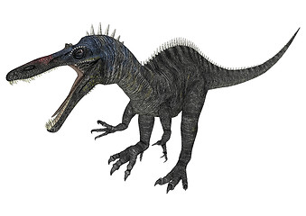 Image showing Dinosaur Suchomimus