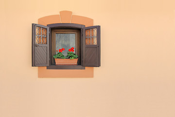 Image showing Flowers on a window