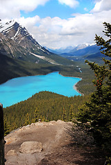 Image showing Peyto Lake in Banff National Park, Canada