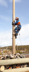 Image showing Electrician begins to climb on a power pole 