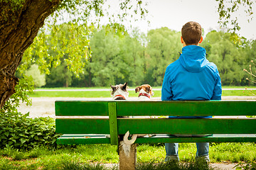 Image showing two dogs and owner 