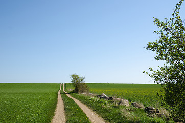 Image showing Country road at the fields