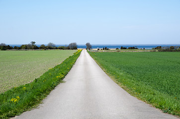 Image showing Road to the coast