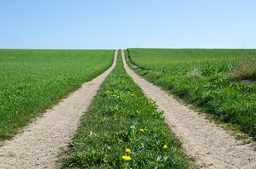 Image showing Rural Road