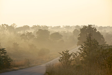 Image showing Misty road