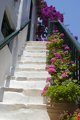 Image showing staircase with flowers
