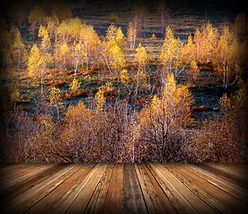 Image showing autumn forest view from veranda