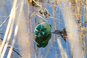 Image showing pollution in natural wetland area