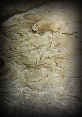 Image showing antique wood texture