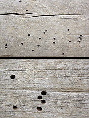 Image showing insects damage on old construction wood