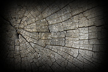 Image showing cracks on old oak wood surface