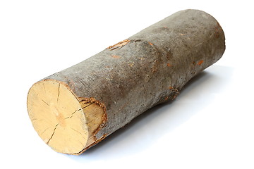 Image showing piece of firewood