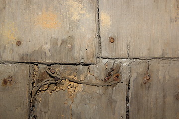 Image showing fungus attack on wood floor