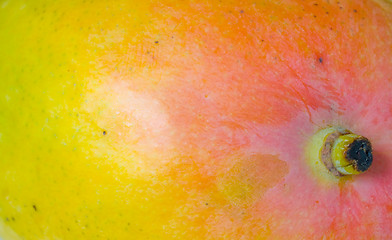 Image showing Mango