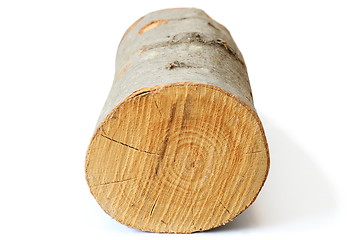 Image showing piece of firewood on white