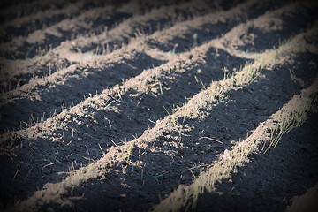 Image showing textured effect on plowed land