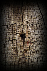 Image showing very old textured oak wood