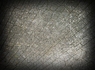 Image showing abstract view of oak wood fibers