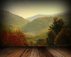 Image showing balcony view to the woods