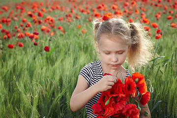 Image showing Little girl on the poppy meadow