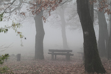 Image showing Foggy landscape