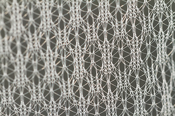 Image showing Special lace