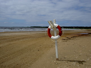 Image showing Beach in South Sweden