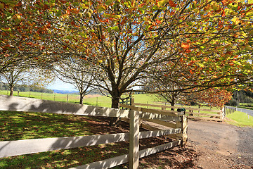 Image showing Mountain Landsc ape in the Autumn Fall