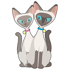 Image showing Siamese Cats