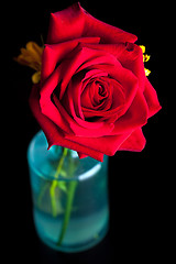 Image showing Red Rose in a Vase