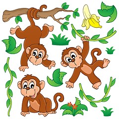 Image showing Monkey theme collection 1