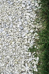 Image showing Green grass and stones