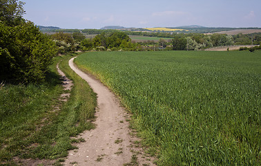 Image showing Spring landscape