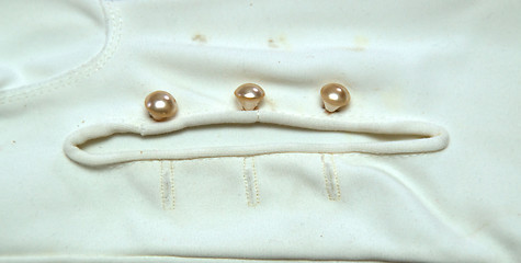 Image showing opera glove buttons