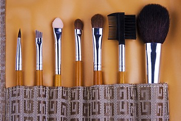 Image showing Cosmetic Brushes