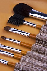 Image showing Cosmetic Brushes