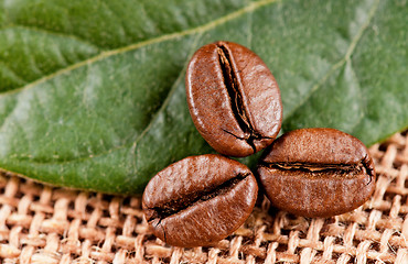 Image showing Coffee beans