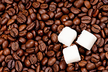 Image showing Coffee beans