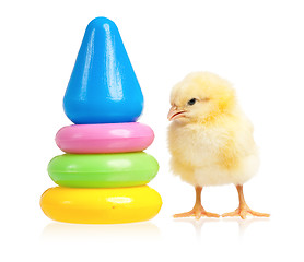 Image showing Pyramid toy and chicken